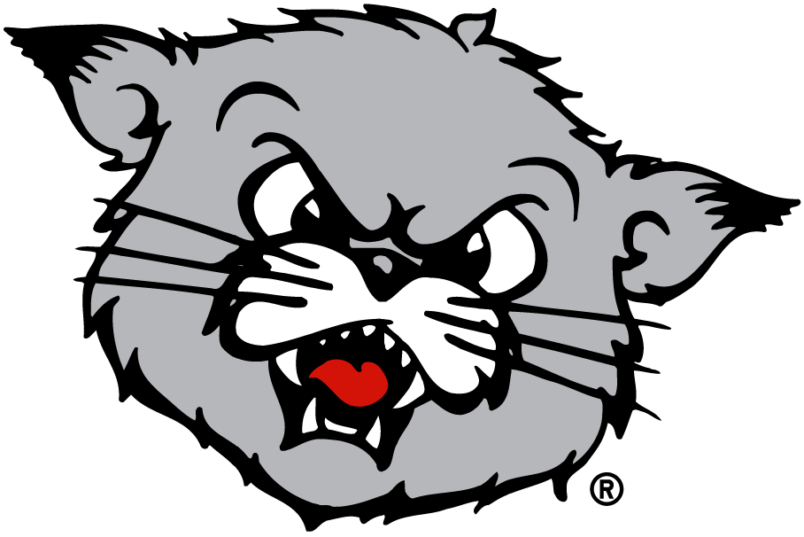 Cincinnati Bearcats 1990-2005 Partial Logo diy fabric transfer